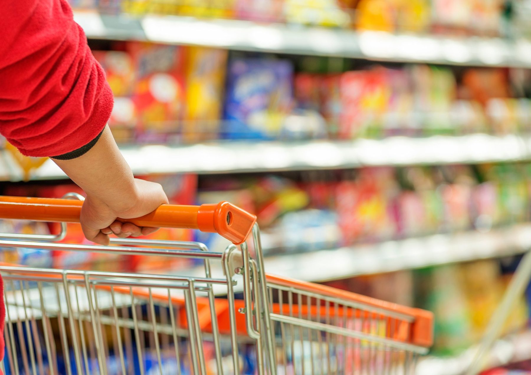 Housekeeping Services & Domestic Support Housekeeping Services & Domestic Support